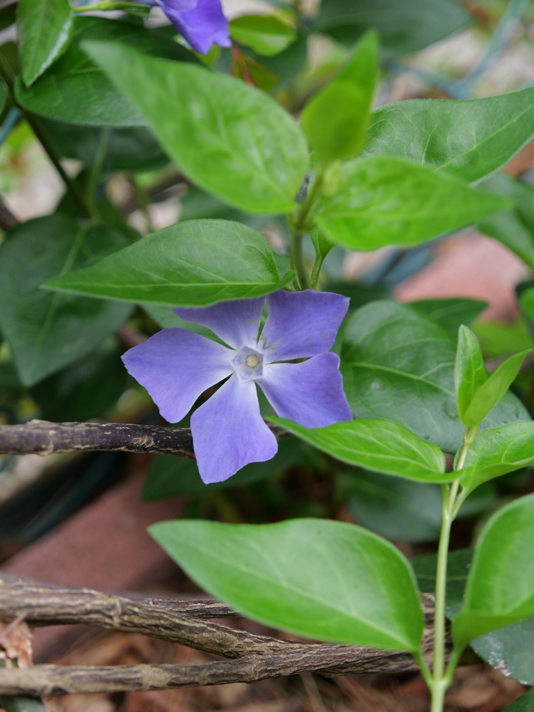 2025-04-06 10_26№(0250).JPG