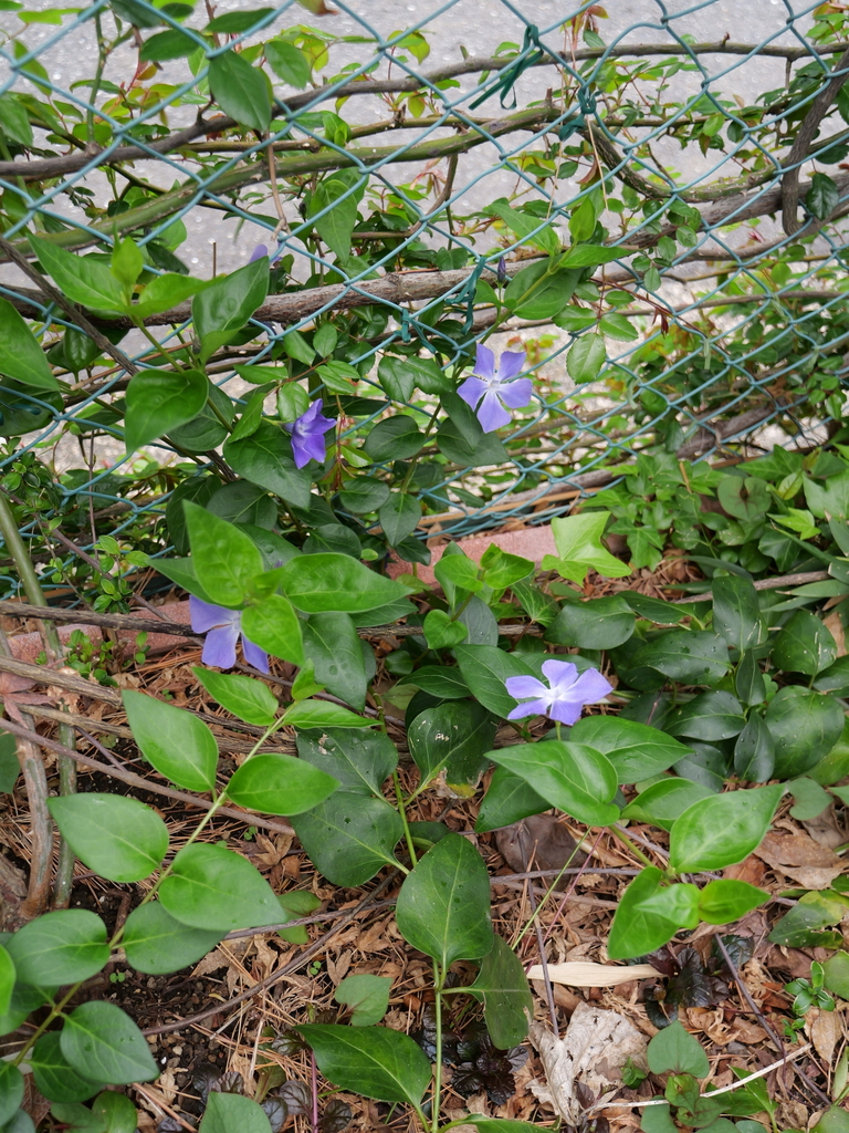 2025-04-06 10_26№(0255).JPG