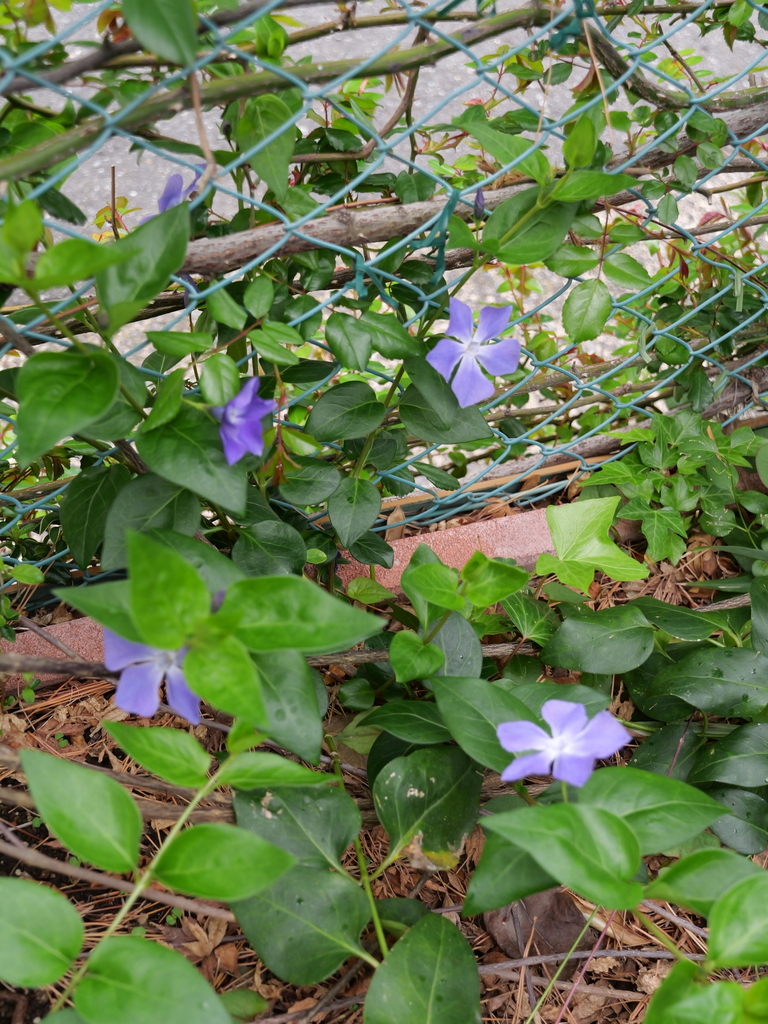 2025-04-06 10_26№(0256).JPG
