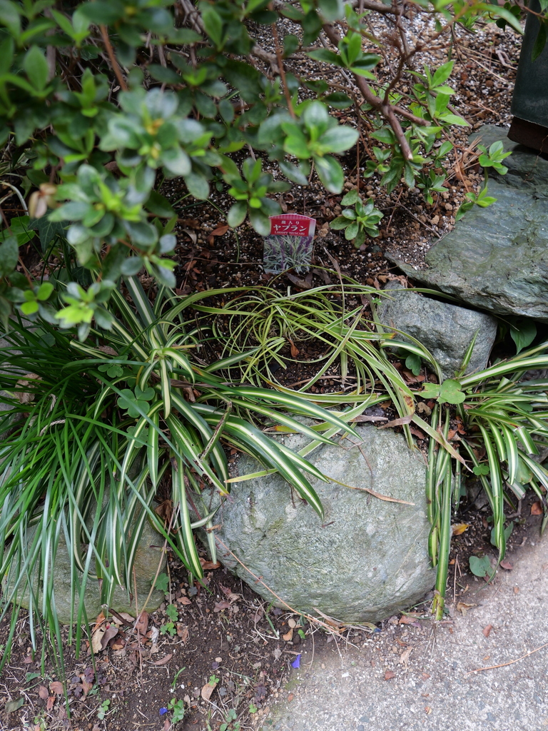 2025-04-06 10_27№(0257).JPG