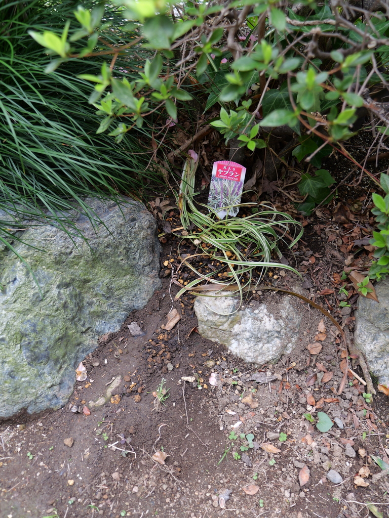2025-04-06 10_27№(0261).JPG