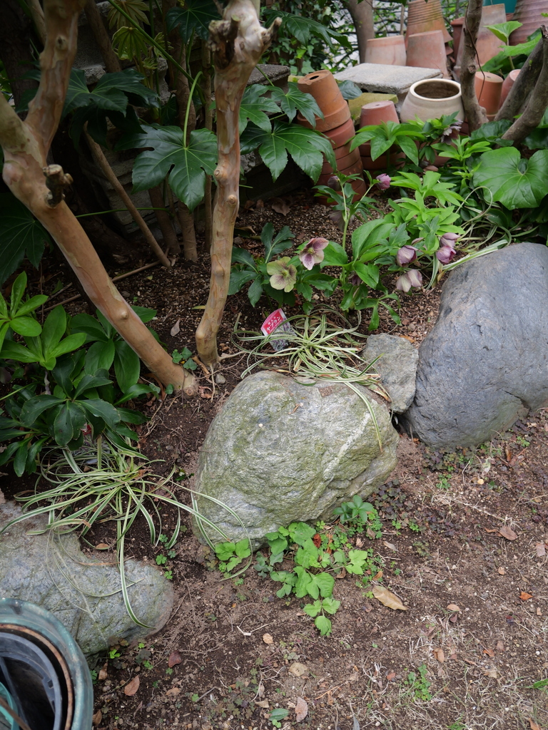 2025-04-06 10_27№(0264).JPG