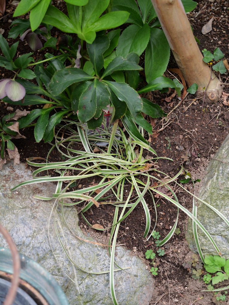 2025-04-06 10_27№(0265).JPG
