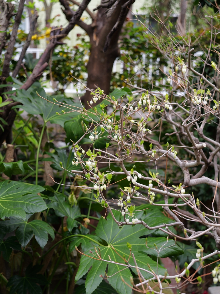 2025-04-06 10_27№(0269).JPG