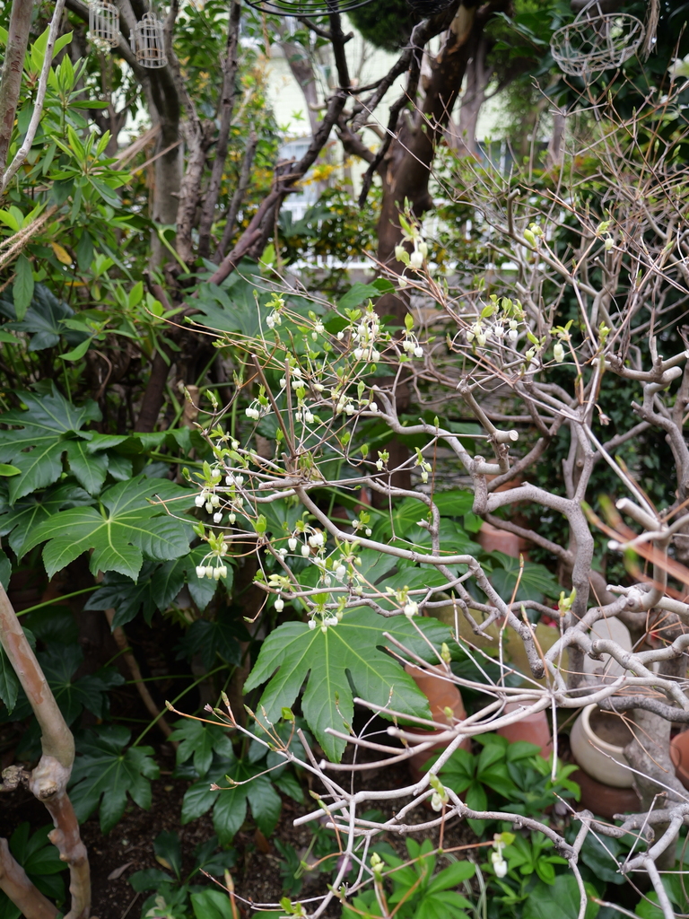 2025-04-06 10_27№(0276).JPG