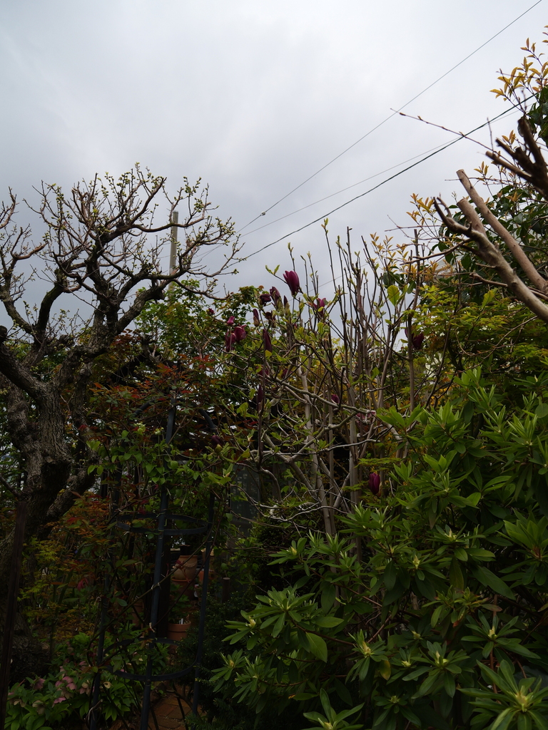 2025-04-06 10_27№(0277).JPG