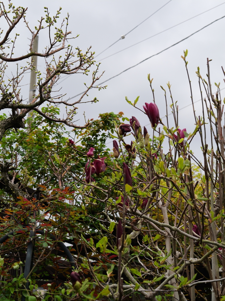 2025-04-06 10_27№(0278).JPG