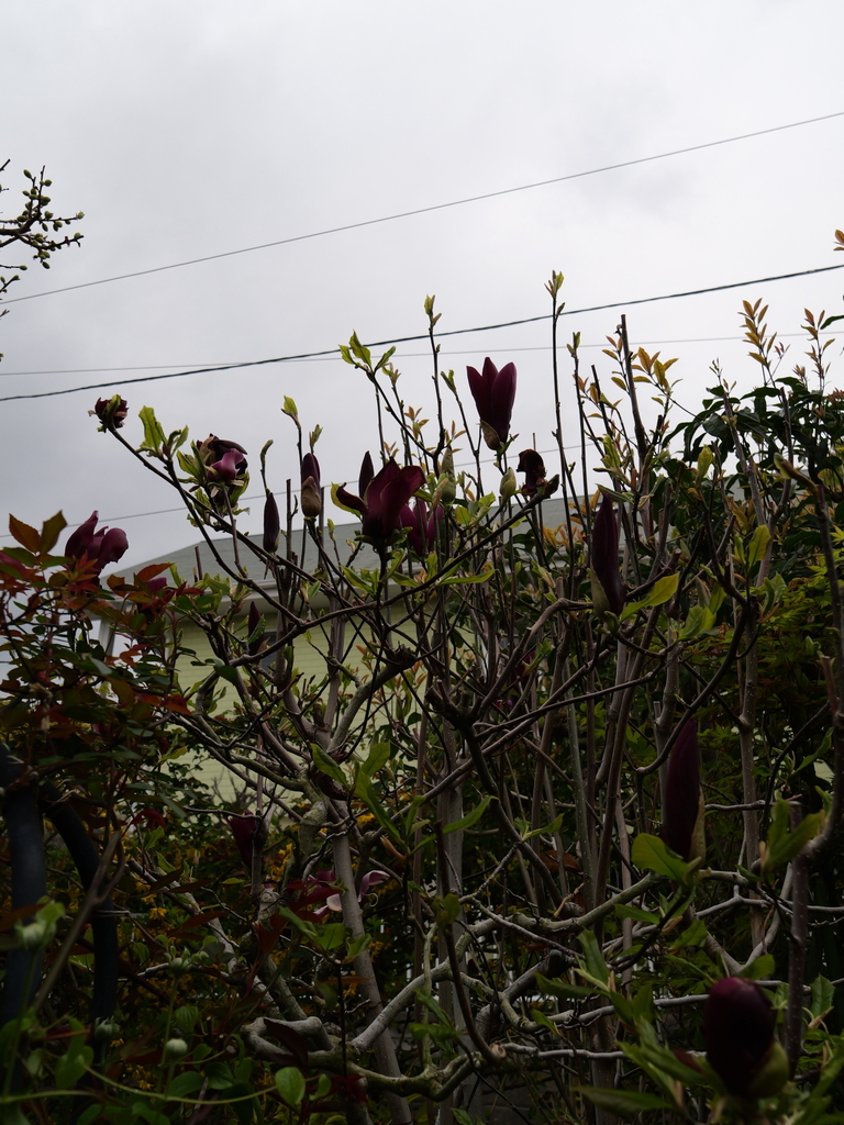 2025-04-06 10_28№(0282).JPG