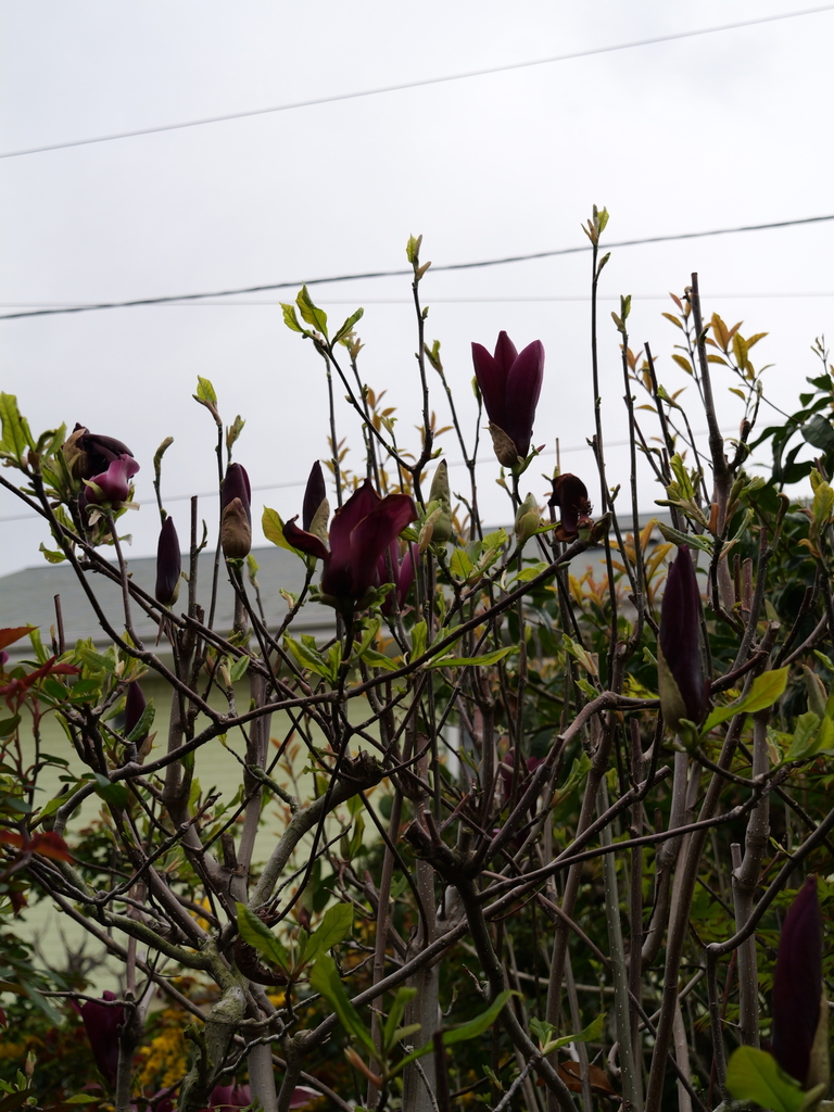 2025-04-06 10_28№(0283).JPG