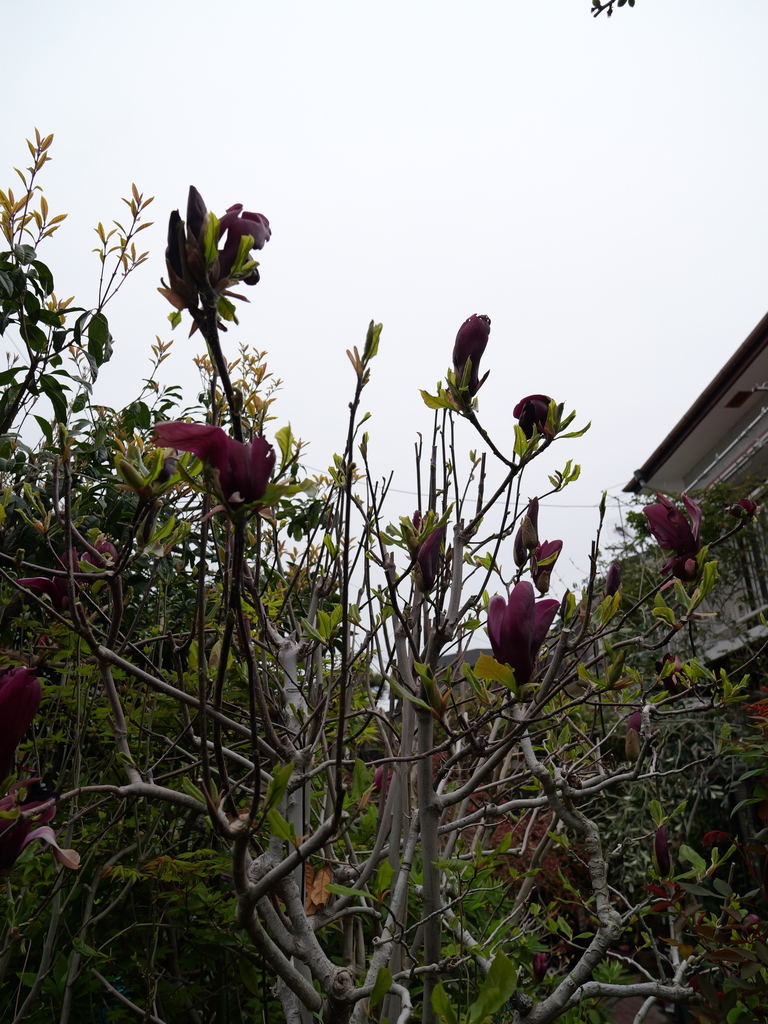 2025-04-06 10_28№(0287).JPG