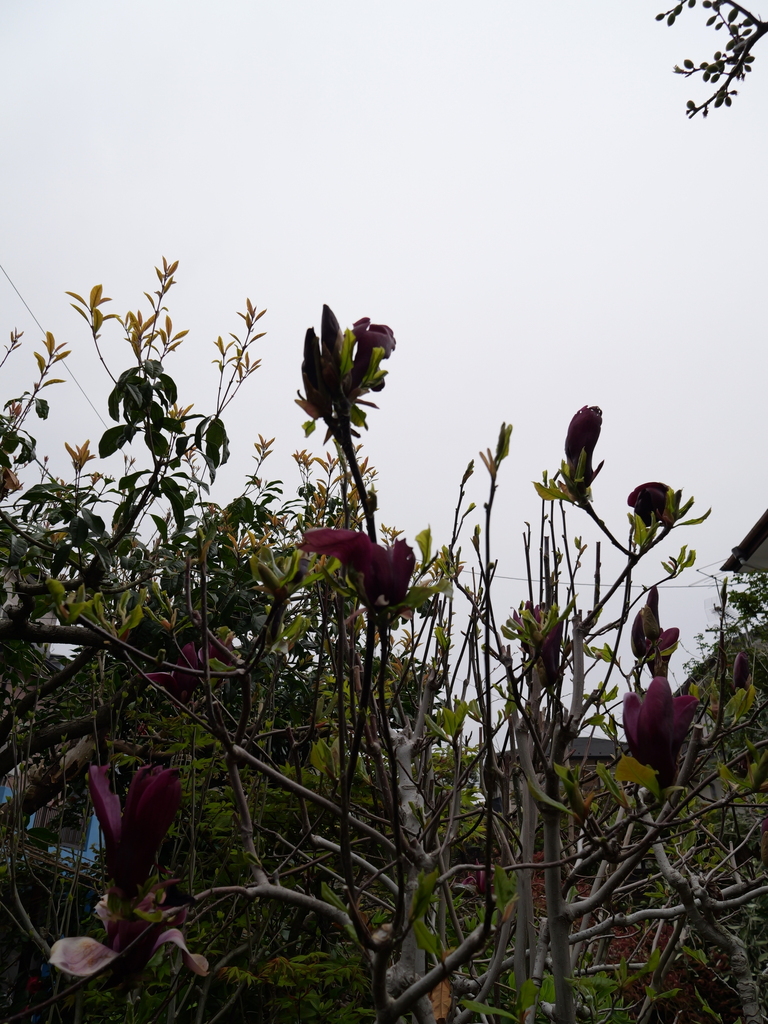 2025-04-06 10_28№(0288).JPG