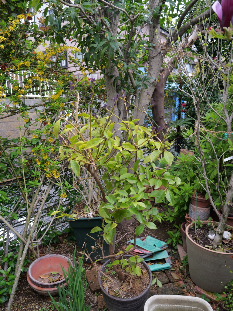 2025-04-06 10_28№(0289).JPG
