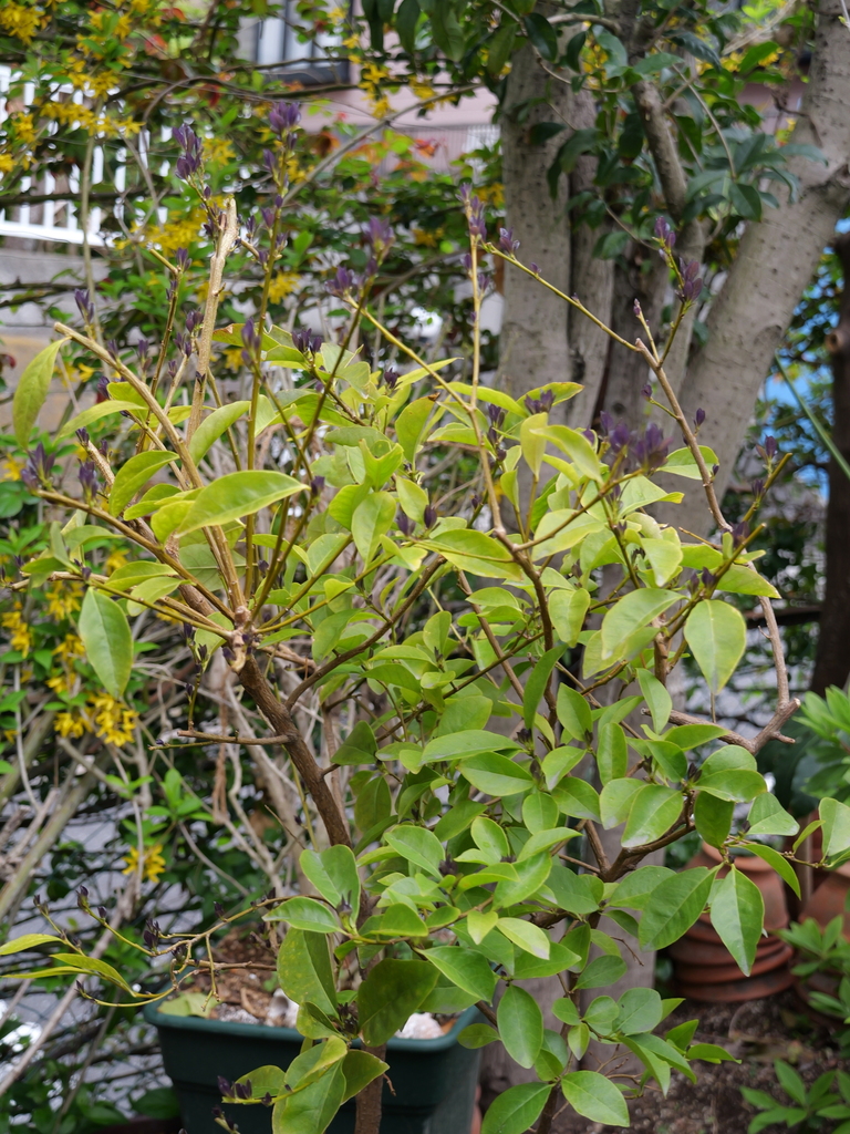 2025-04-06 10_28№(0290).JPG