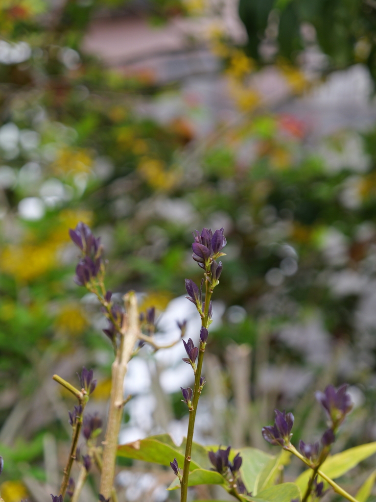 2025-04-06 10_28№(0291).JPG