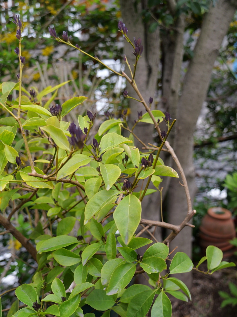 2025-04-06 10_28№(0293).JPG