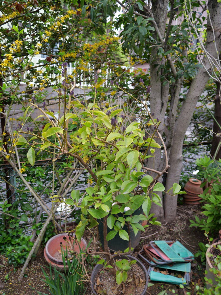 2025-04-06 10_28№(0294).JPG