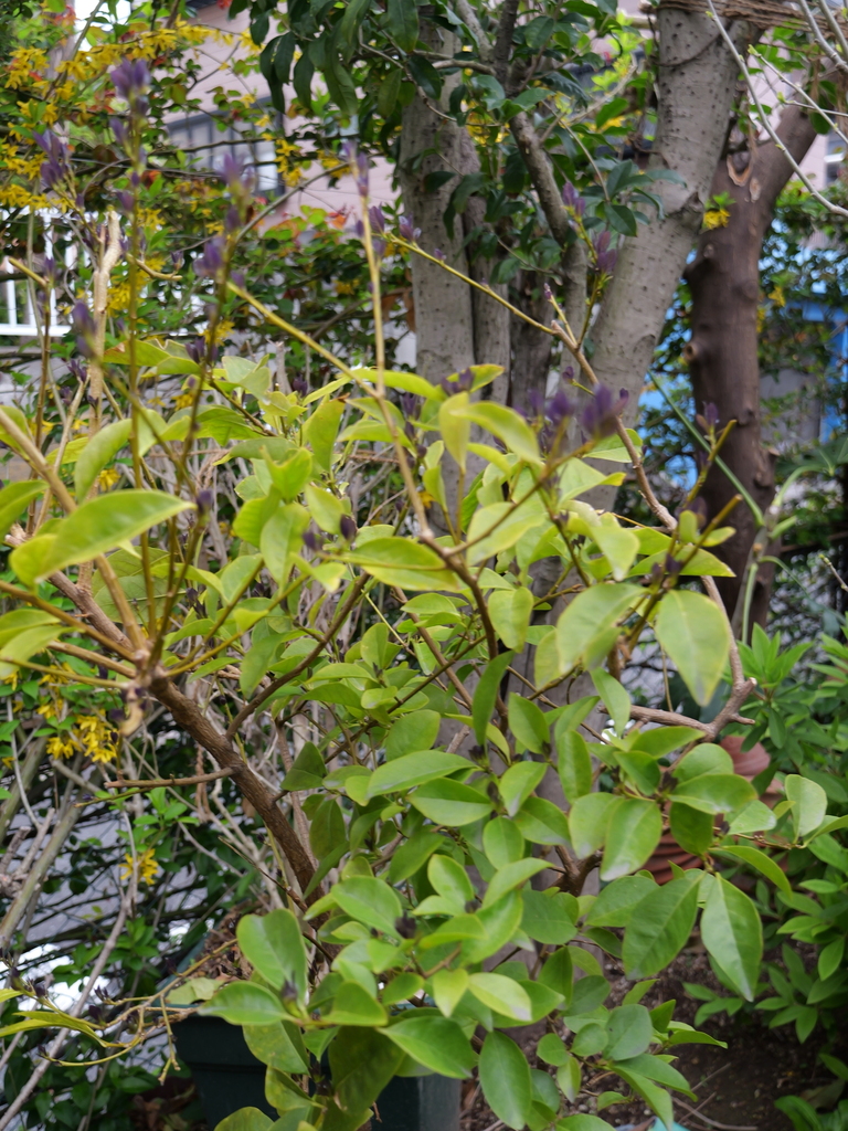 2025-04-06 10_28№(0295).JPG