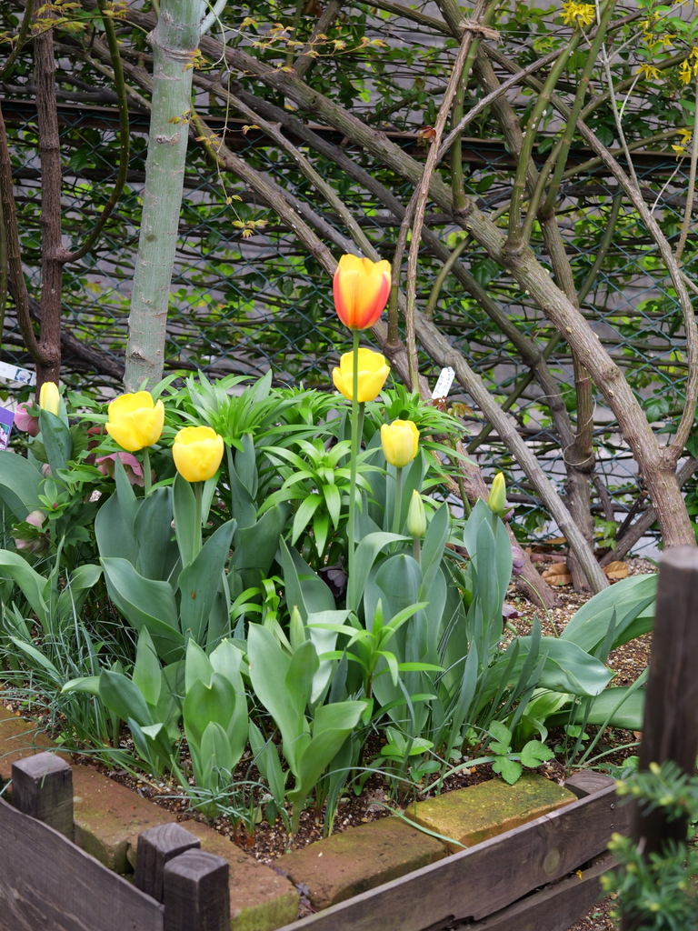 2025-04-06 10_28№(0310).JPG