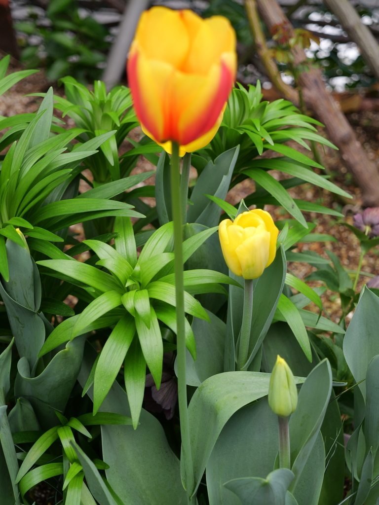 2025-04-06 10_29№(0311).JPG