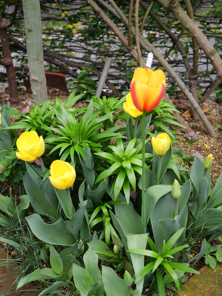 2025-04-06 10_29№(0313).JPG