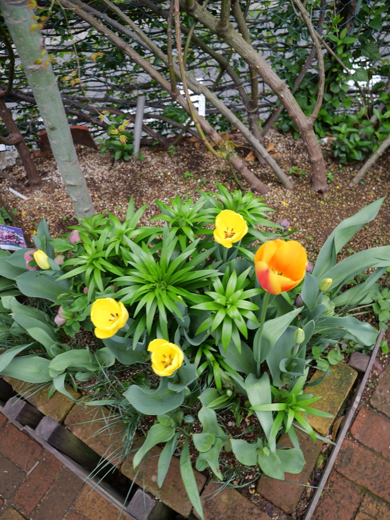 2025-04-06 10_29№(0314).JPG