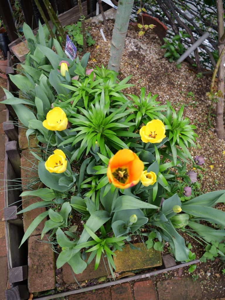2025-04-06 10_29№(0315).JPG