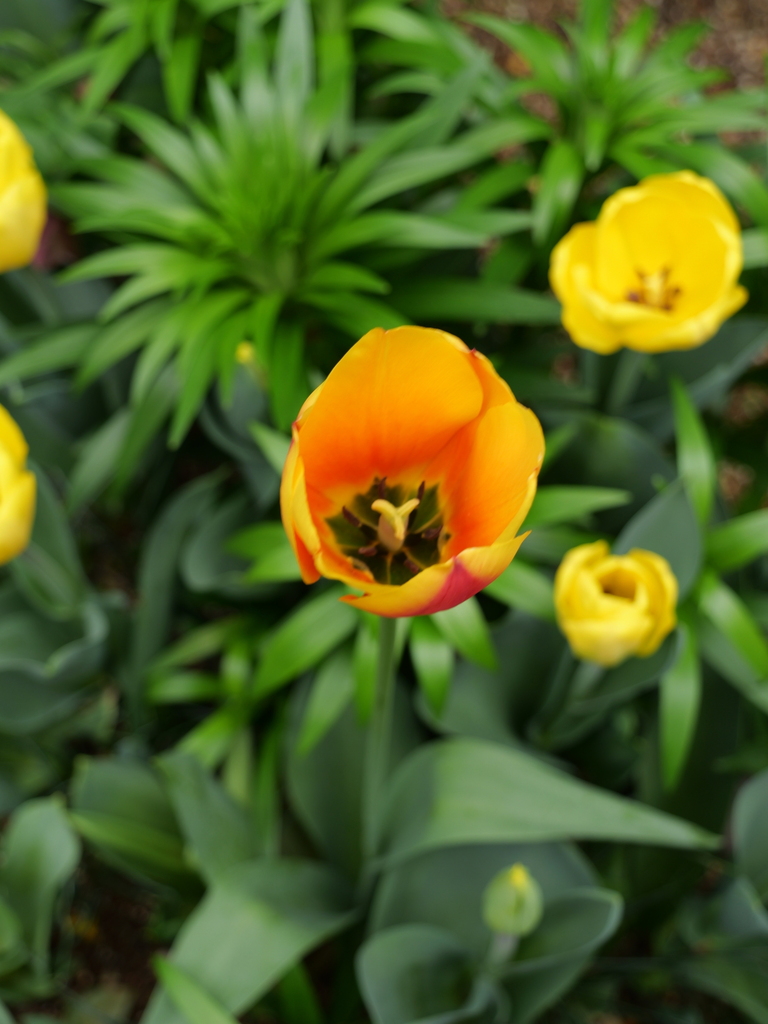 2025-04-06 10_29№(0316).JPG