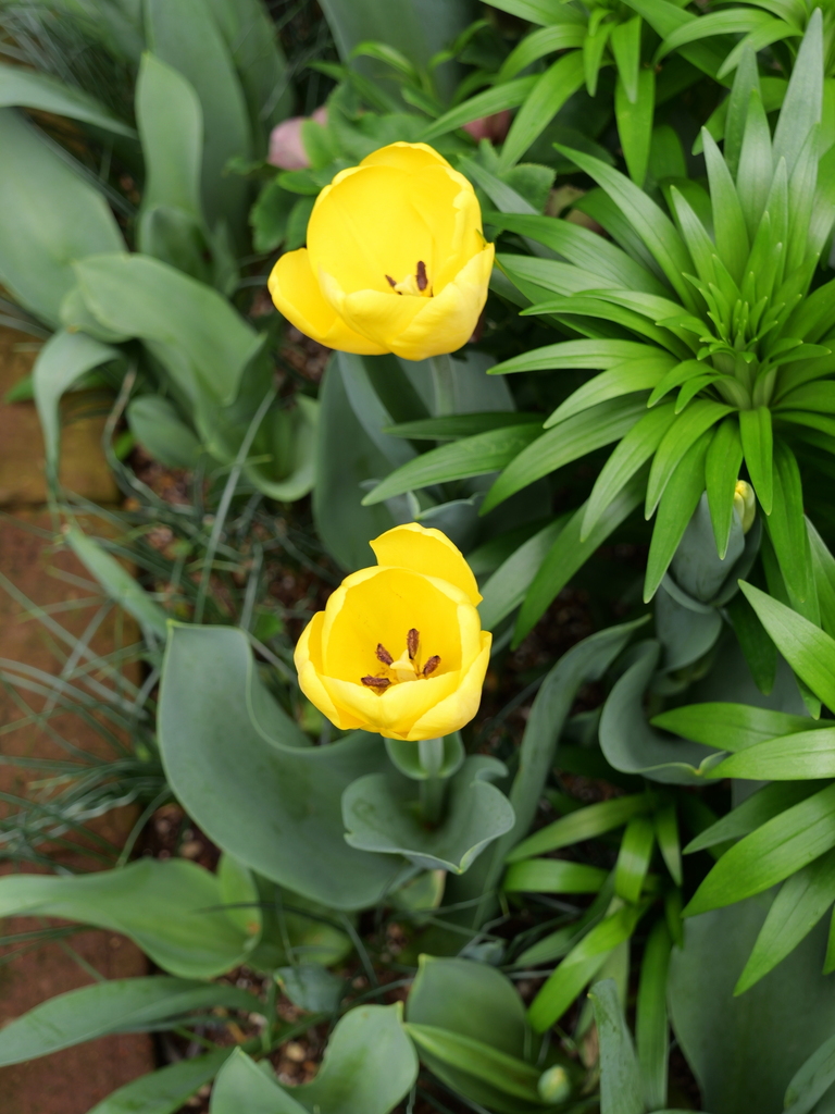 2025-04-06 10_29№(0317).JPG