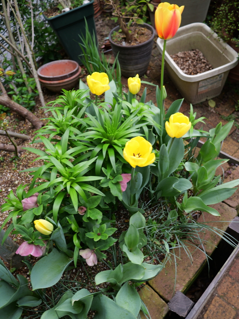 2025-04-06 10_29№(0319).JPG