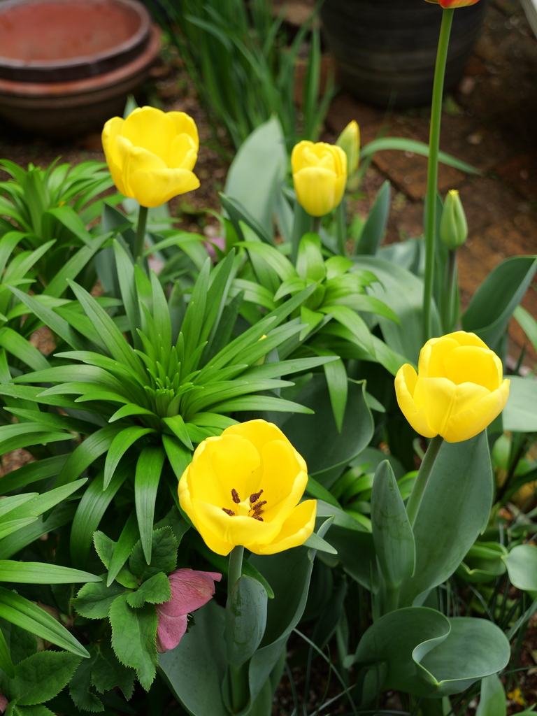 2025-04-06 10_29№(0321).JPG