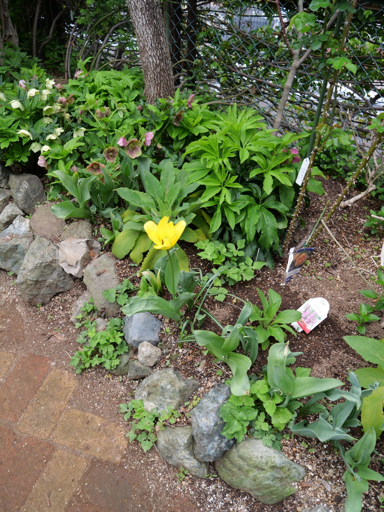 2025-04-06 10_29№(0323).JPG