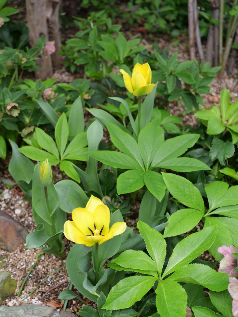 2025-04-06 10_29№(0326).JPG