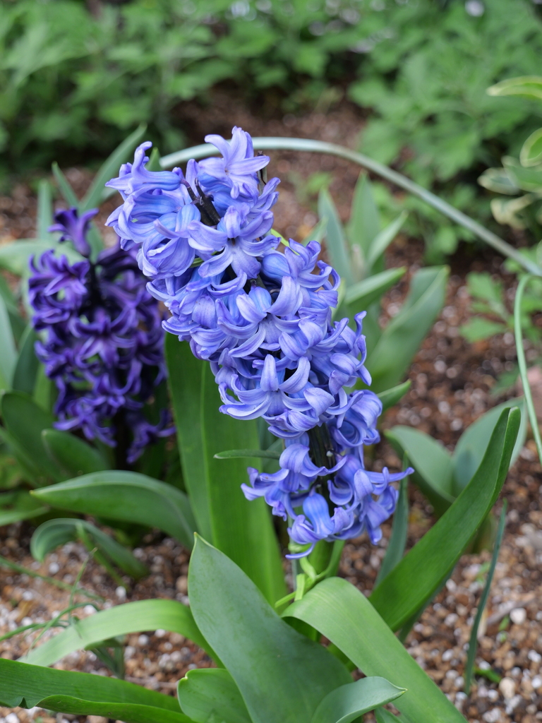 2025-04-06 10_30№(0336).JPG