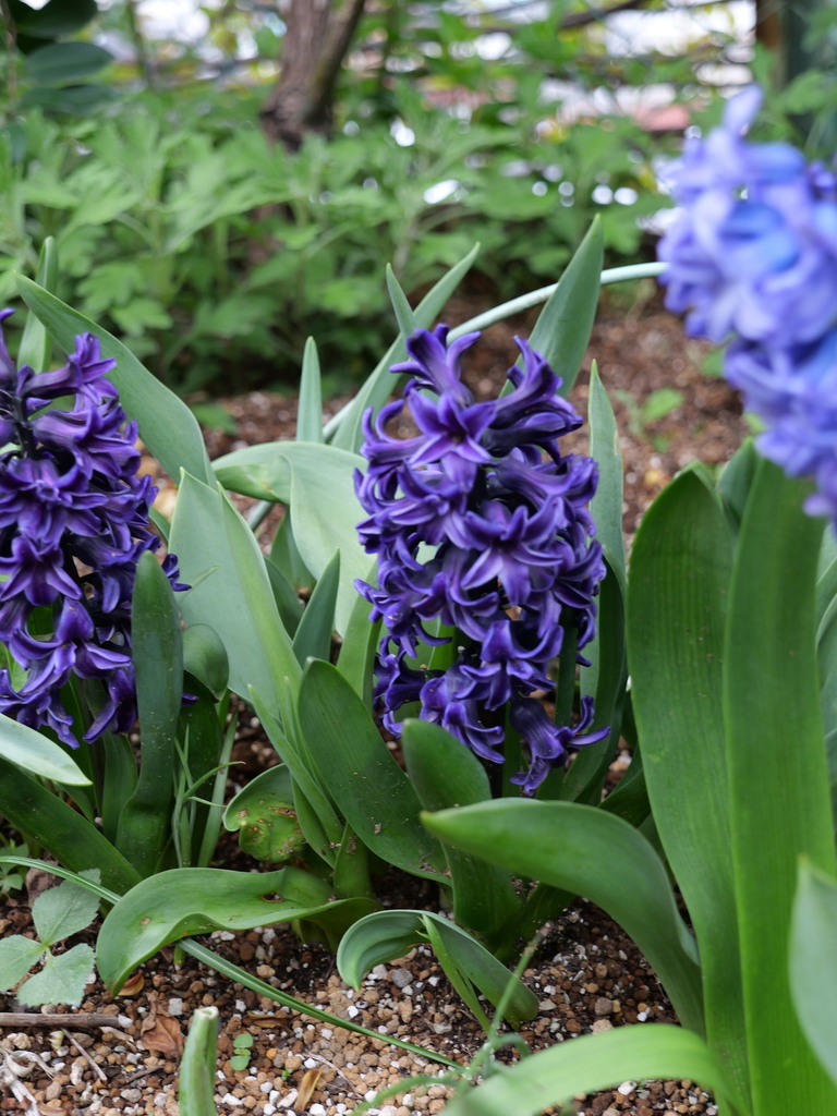 2025-04-06 10_30№(0337).JPG