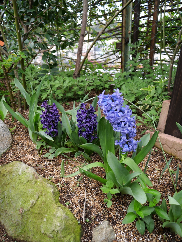 2025-04-06 10_30№(0341).JPG
