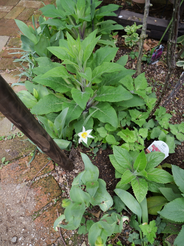 2025-04-06 10_30№(0343).JPG