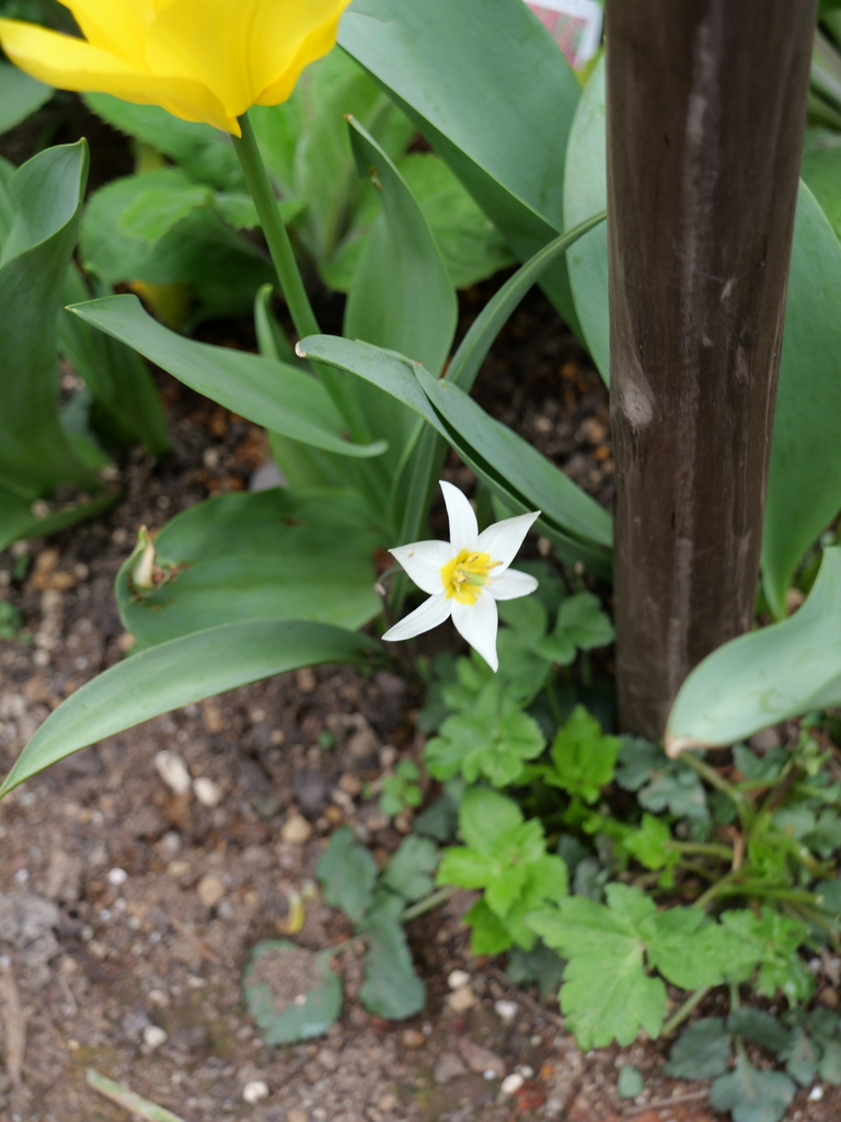 2025-04-06 10_30№(0347).JPG