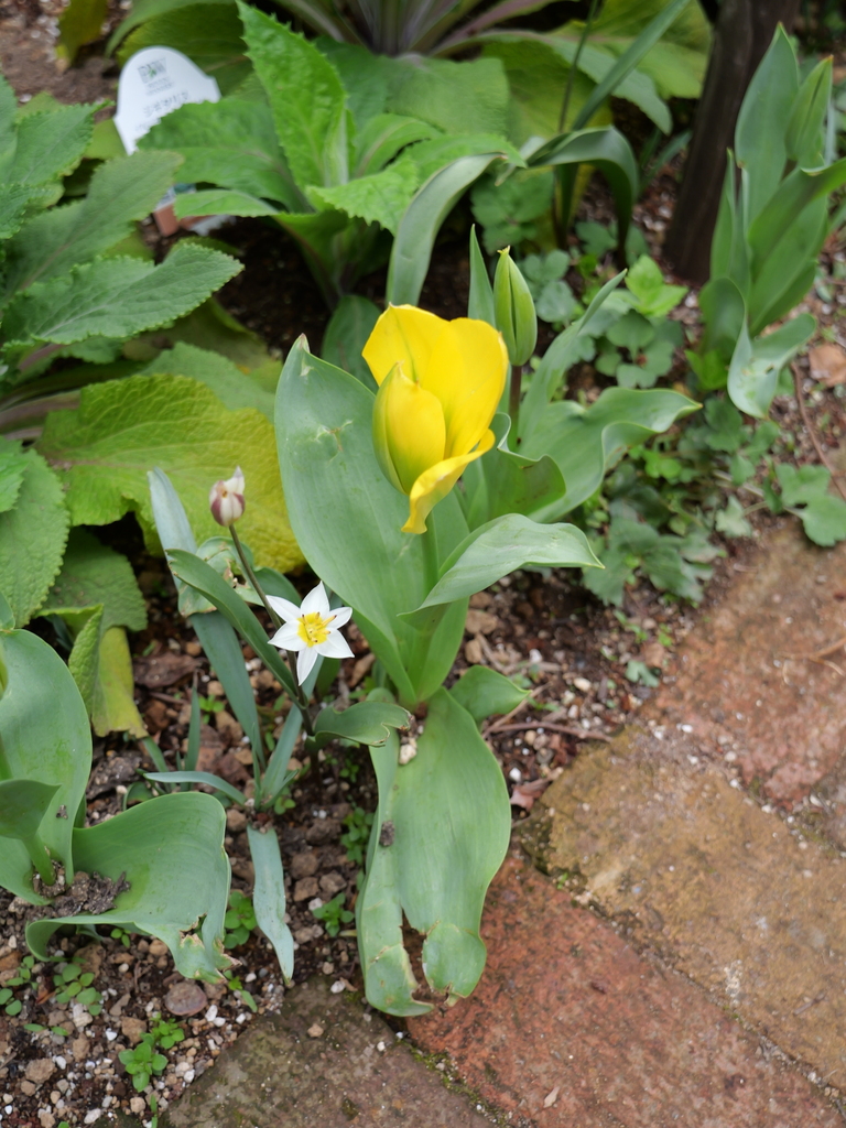 2025-04-06 10_30№(0348).JPG