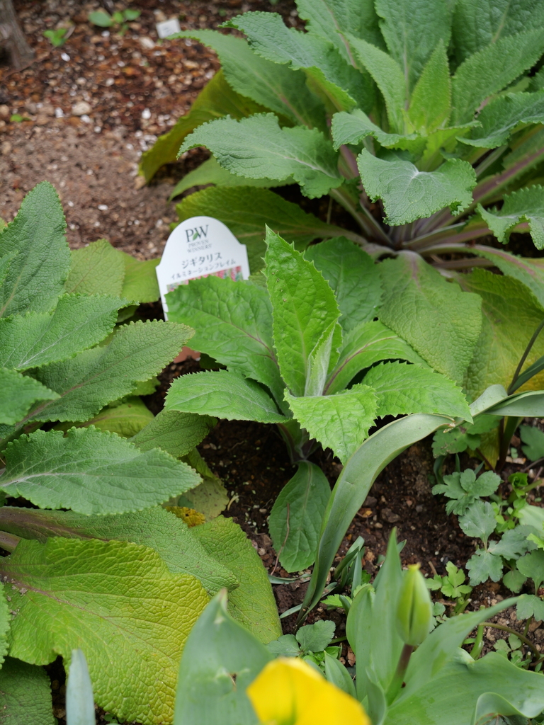 2025-04-06 10_30№(0350).JPG