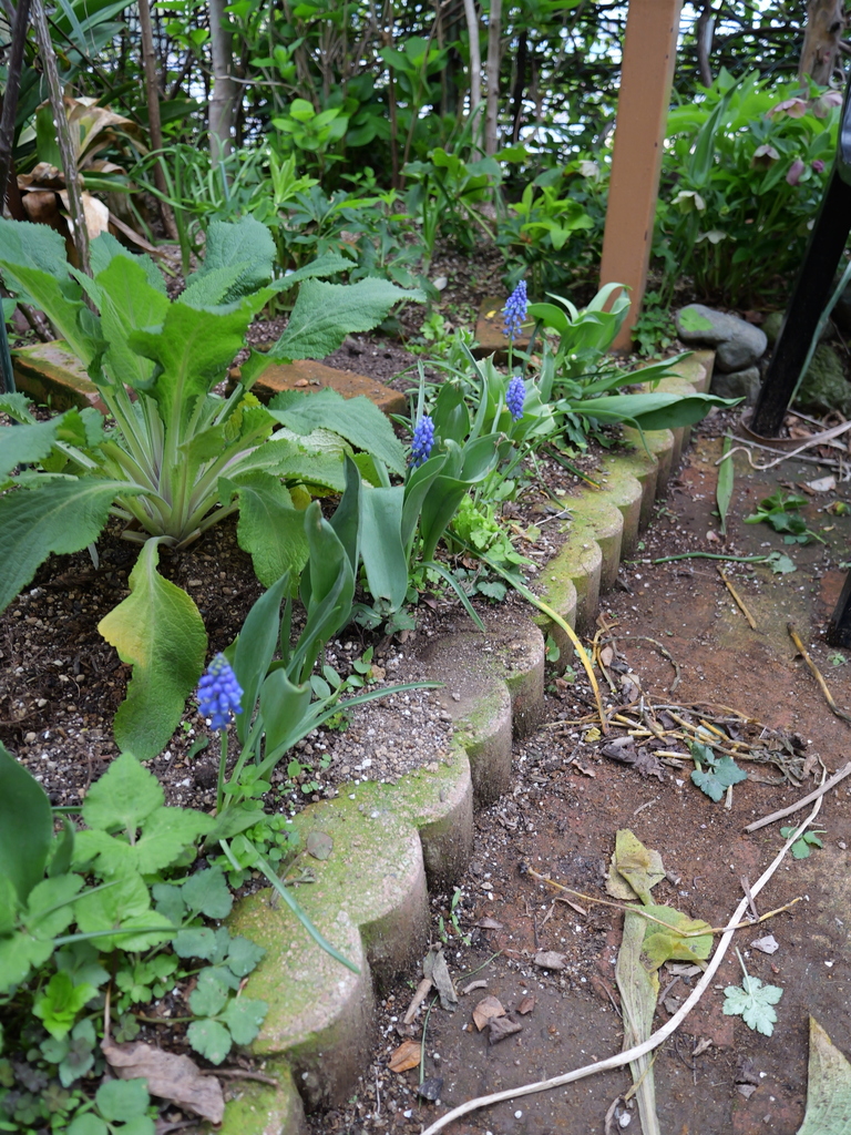 2025-04-06 10_31№(0372).JPG