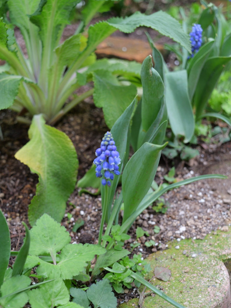 2025-04-06 10_31№(0373).JPG
