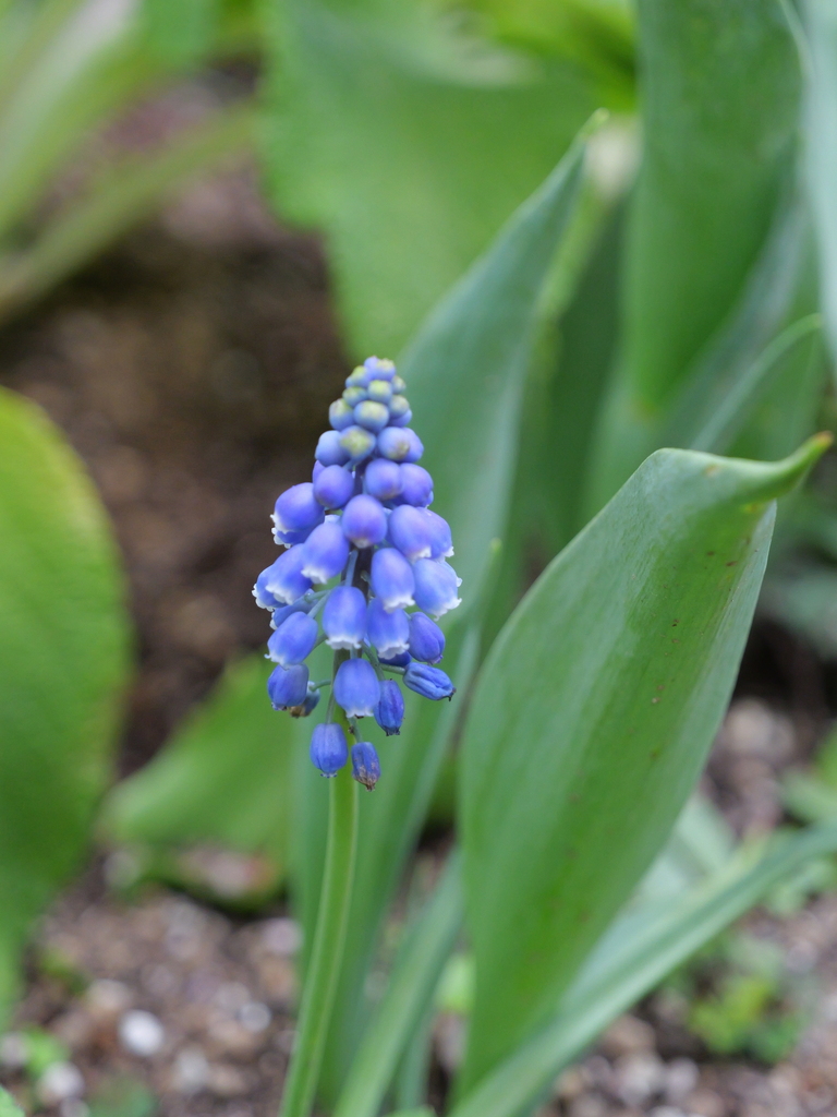 2025-04-06 10_31№(0374).JPG