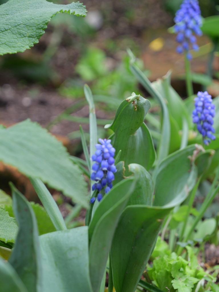 2025-04-06 10_31№(0375).JPG