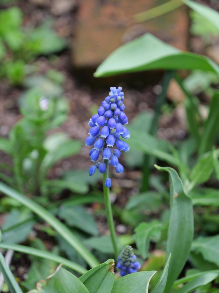 2025-04-06 10_31№(0377).JPG