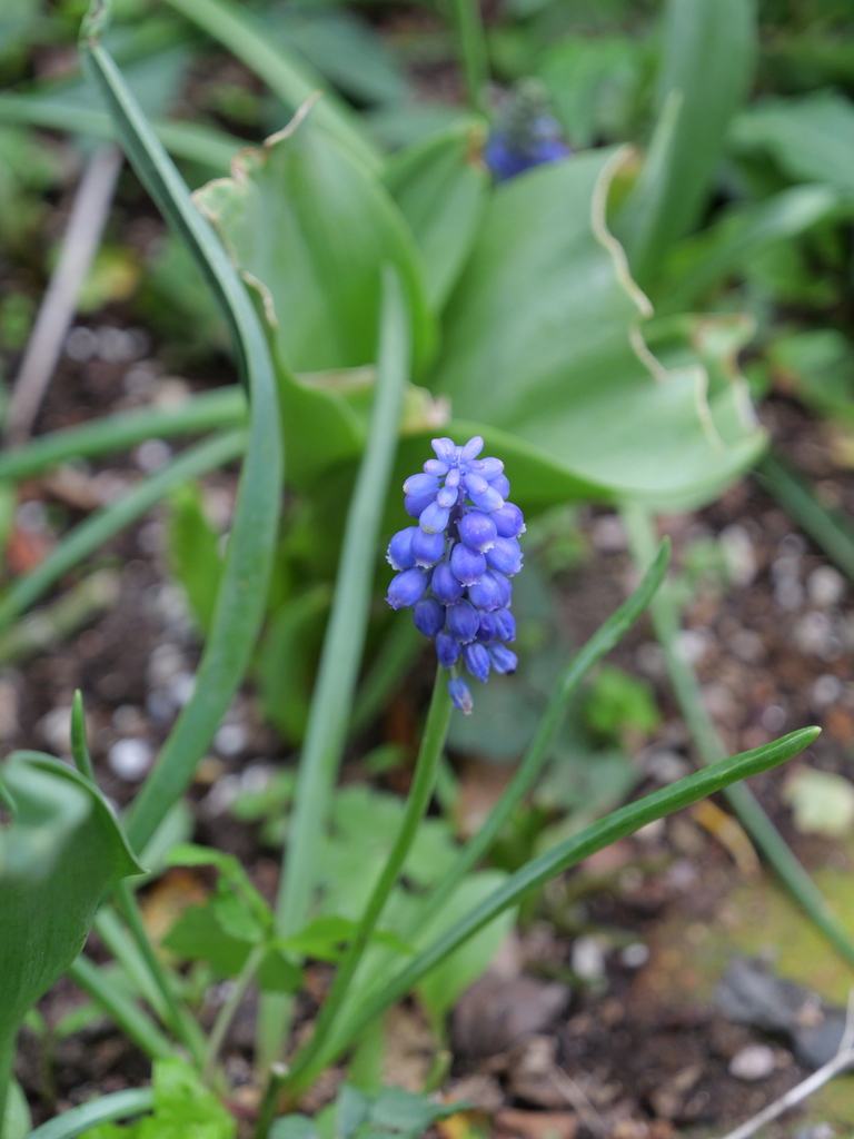 2025-04-06 10_32№(0378).JPG