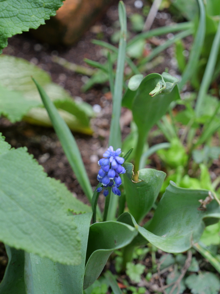 2025-04-06 10_32№(0379).JPG