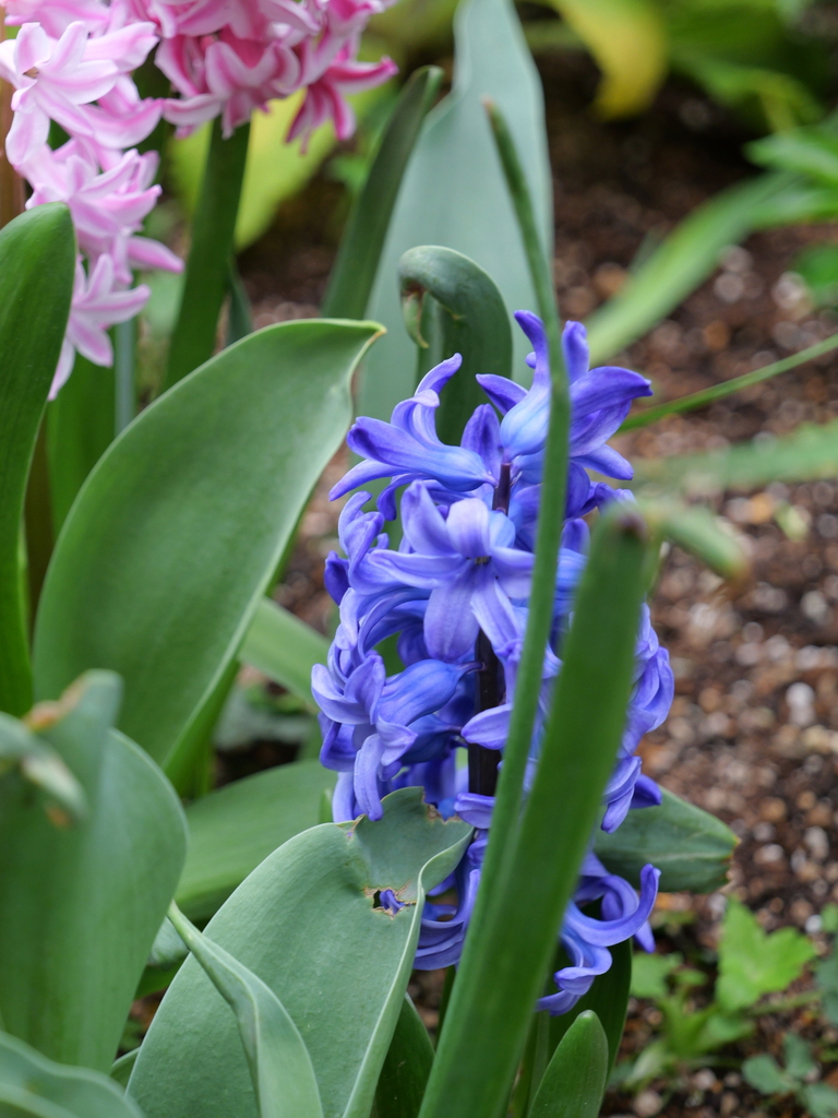 2025-04-06 10_32№(0385).JPG