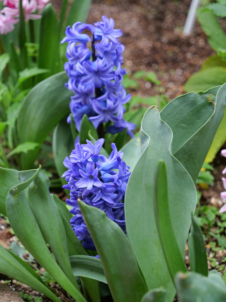 2025-04-06 10_32№(0386).JPG
