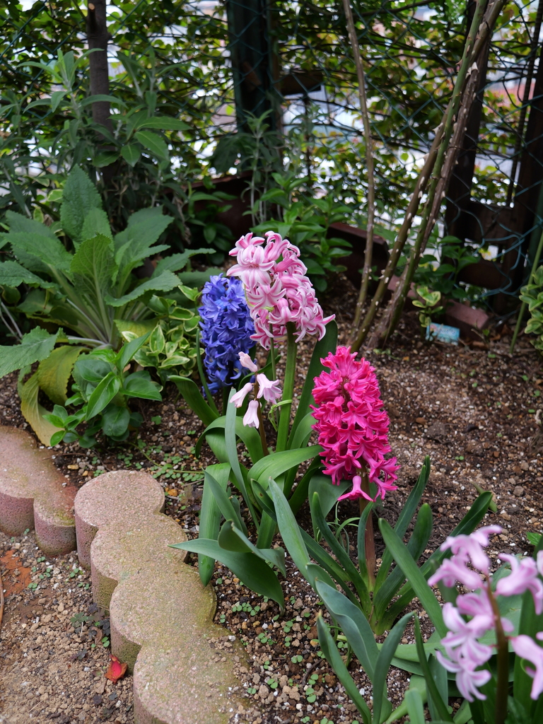 2025-04-06 10_32№(0394).JPG