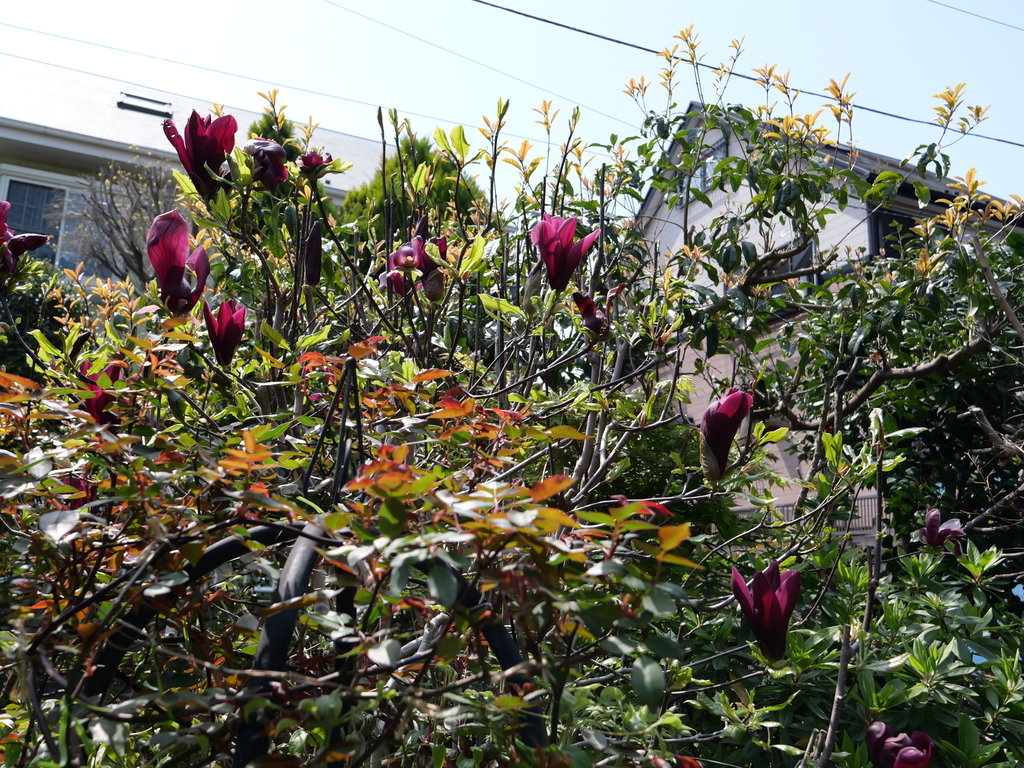 2025-04-07 12_22№(0082).JPG